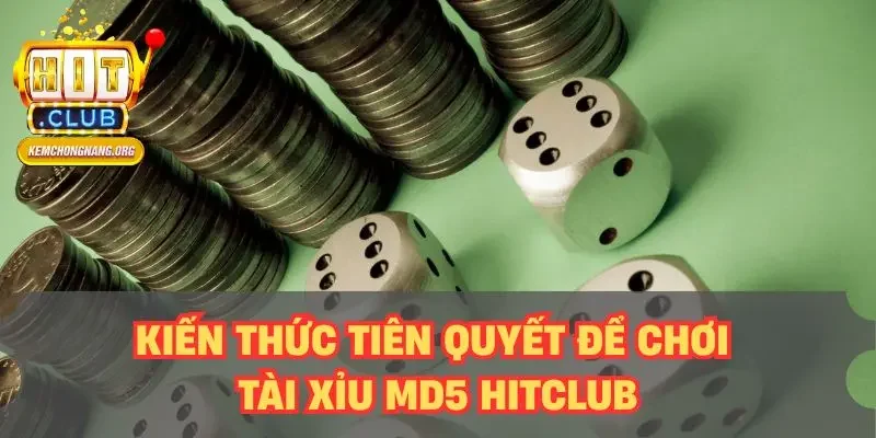 Tài Xỉu MD5 HITCLUB - Sảnh Game Đổi Thưởng Hot Nhất Kiến thức tiên quyết để chơi tài xỉu MD5 HITCLUB